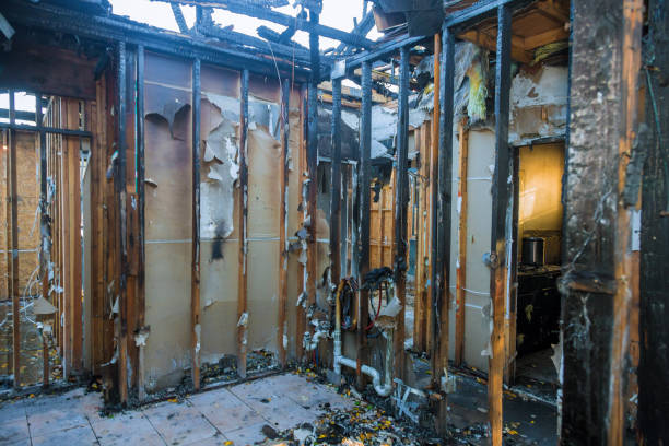 Professional Soot Removal technician working in Lake Dallas, TX